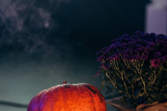 NicoleAchsFotografie-147