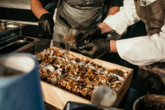 NicoleAchsFotografie-185