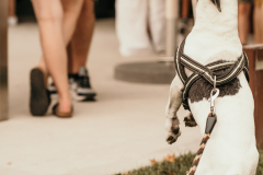 NicoleAchsFotografie-08532