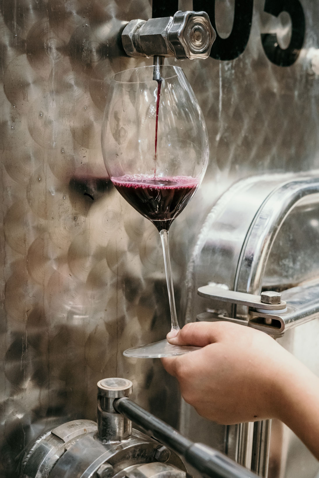 Tankprobe Rotwein