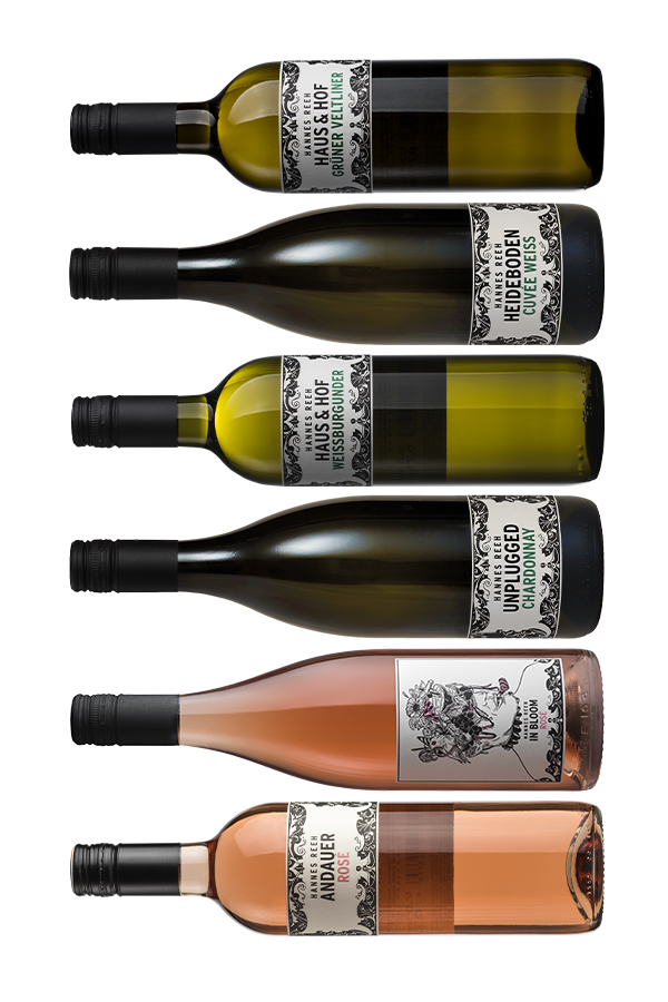 6ER Weiss & Rosé Paket