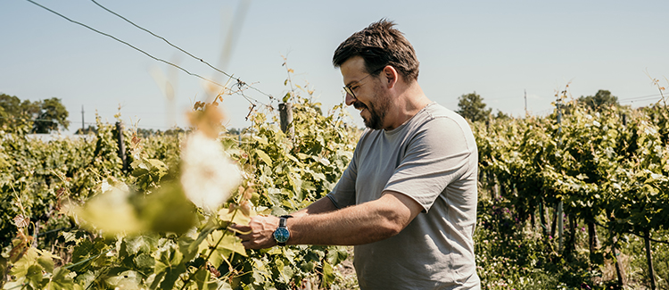 Was den Andauer Rosé ausmacht Was den Andauer Rosé ausmacht